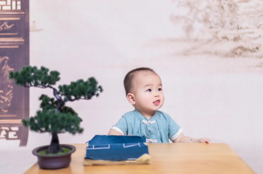 铁岭二岁宝宝发型 铁岭二岁宝宝发型